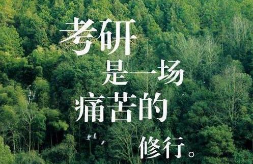 考研大揭秘!有人300分上985,有人400分卻無(wú)緣研究生