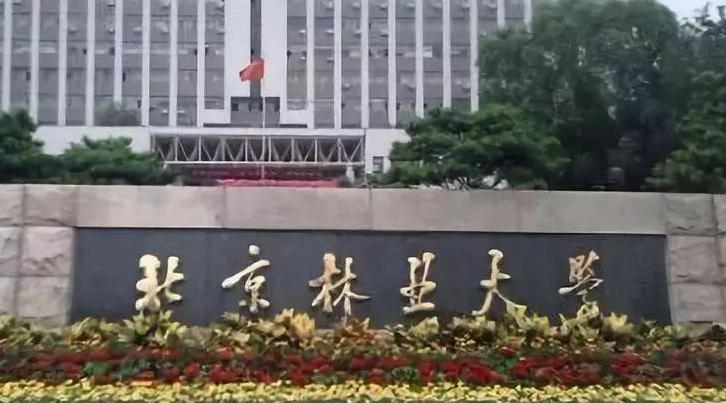 2022最新情報|北京林業大學來啦