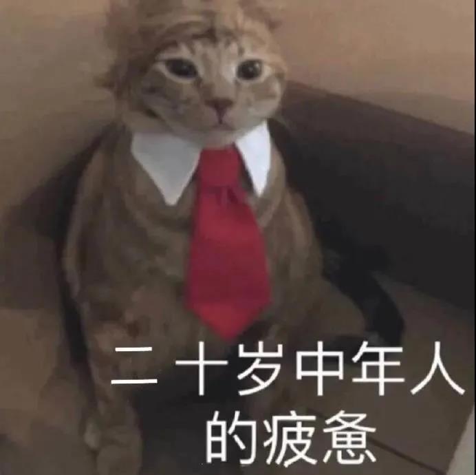 22考研湯家鳳暑期強(qiáng)化課_學(xué)霸原來都是這樣復(fù)習(xí)的