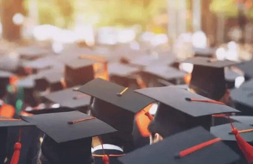 健康打卡漏打卡怎么辦？！全國各省健康打卡時間匯總！